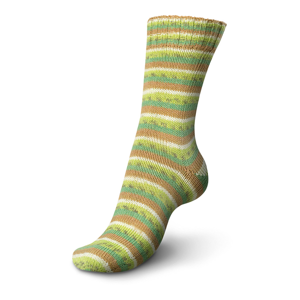 Regia Cotton Tutti Frutti 4 Ply Sock Yarn - The Sock Yarn Shop